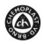 Chemoplast