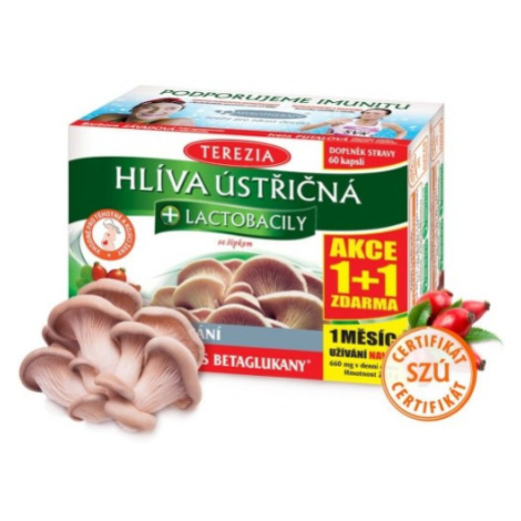 TEREZIA Hliva ustricová + laktobacily 60 + 60 kapsúl TEREZIA Hliva ustricová + laktobacily 60 + 60 kapsúl