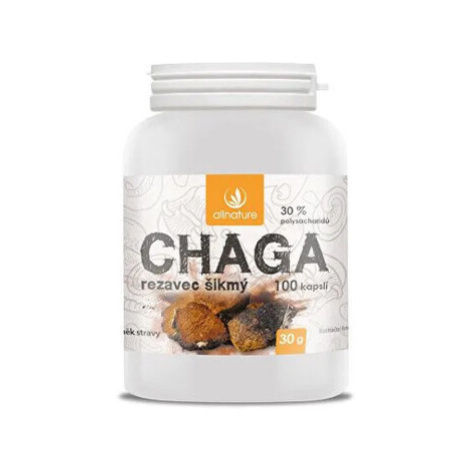 ALLNATURE Chaga