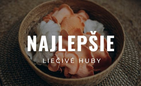 Najlepšie liečivé huby 2025: Recenzie, účinky a testovanie doplnkov