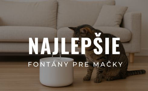 Najlepšie fontány pre mačky 2025: Recenzie, test a porovnanie