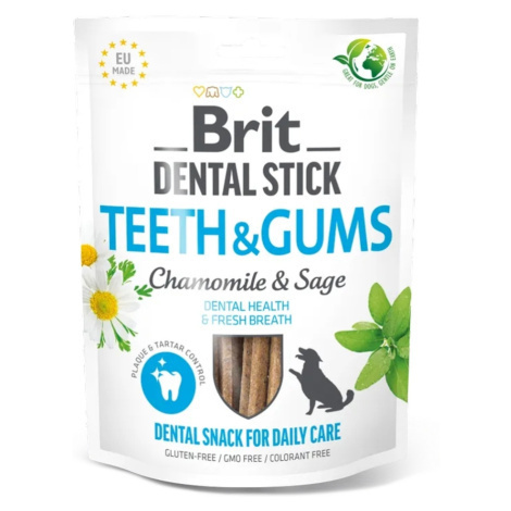 BRIT Dental Stick Teeth & Gums with Chamomile & Sage