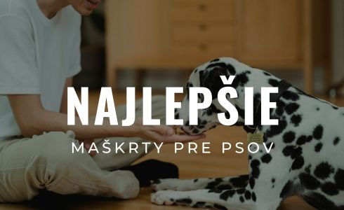 Najlepšie maškrty pre psov 2026: Recenzie a testovanie