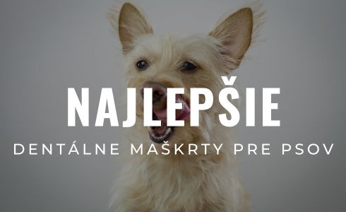 Najlepšie dentálne maškrty pre psov 2026: Recenzie Brit, Whimzees a Pedigree