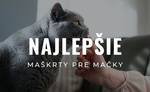 Najlepšie maškrty pre mačky 2026: Veľký test a recenzie 10 produktov