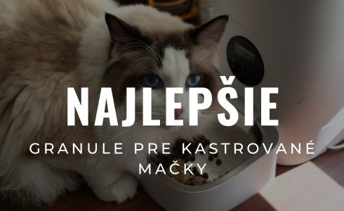 Najlepšie granule pre kastrované mačky 2026: Veľké testovanie a recenzie