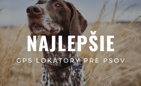Najlepšie GPS lokátory pre psov 2026: Recenzie a porovnanie
