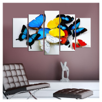 Viacdielny obraz Motýle 110x60 cm
