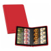 Ultimate Guard Album Ultimate Guard 16-Pocket ZipFolio 320 XenoSkin Red