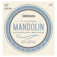 D'Addario EJ73