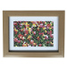 Bondecor Fotorám plastový, lišta 13,19 mm, svetlé drevo, 15 x 21 cm