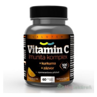 Salutem Vitamín C 500 mg Imunita komplex 60 kapsúl