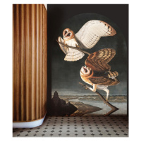 WALLCOLORS Owls wallpaper - tapeta POVRCH: Wallstick