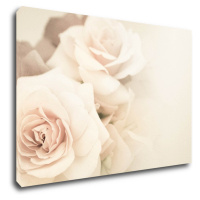 Impresi Obraz Ruže svetlé - 60 x 40 cm
