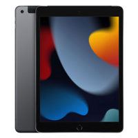 iPad Wi-Fi + Cellular 64GB Space Gray (2021)