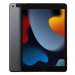 iPad Wi-Fi + Cellular 64GB Space Gray (2021)