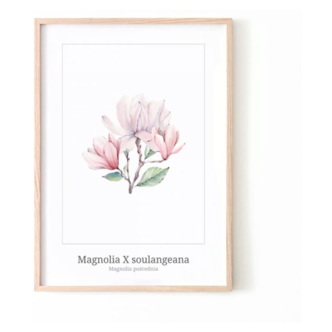 Biely kvetinový plagát s motívom magnólie
