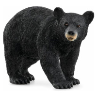 Schleich Medveď čierny