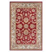 Kusový koberec Luxor 105642 Reni Red Cream Rozmery kobercov: 57x90