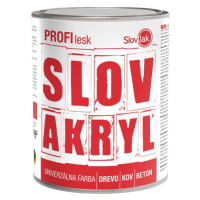 SLOVAKRYL PROFI LESK - Univerzálna vodou riediteľná farba RAL 8003 - antuková hnedá 0,75 kg