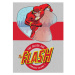DC Comics Flash: The Silver Age Omnibus 2