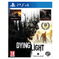 Dying Light (PS4)