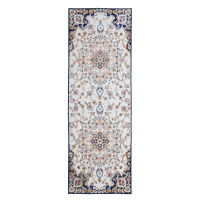 Běhoun Plaza Mabel Navy – na ven i na doma - 80x230 cm Flair Rugs koberce