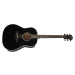 Taylor 217e-BLK Plus