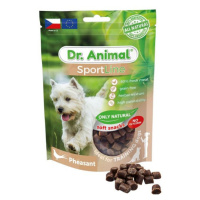 Maškrta Dr. Animal Sportline bažant 100g