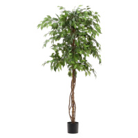 Umelý fikus (výška 180 cm) Ficus – Kave Home