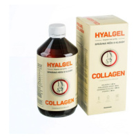 Silvita Hyalgel COLLAGEN 500 ml