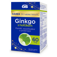 GS Ginkgo 60 mg s horčíkom 90 + 30 tabliet NAVYŠE