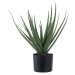 Umelá rastlina (výška 51 cm) Aloe Vera – House Nordic