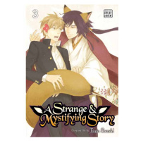 Viz Media A Strange and Mystifying Story 03