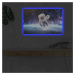 Obraz s LED osvetlením ASTRONAUT VO VESMÍRE 45 x 70 cm