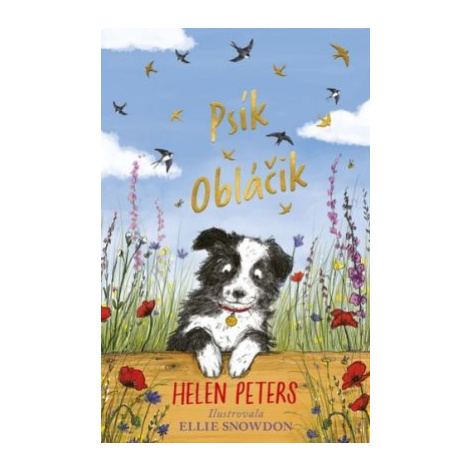 Psík Obláčik - Helen Peters