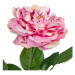 Umelá kvetina (výška 43 cm) Rose – Ixia