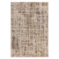 Béžový koberec 120x170 cm Kuza – Asiatic Carpets