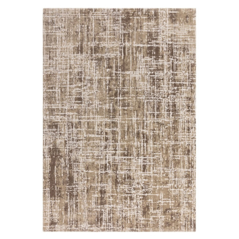 Béžový koberec 120x170 cm Kuza – Asiatic Carpets