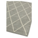 Sivý ručne tkaný vlnený koberec 120x170 cm Albany – Asiatic Carpets