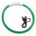 Reedog Full Light USB nabíjací svietiaci obojok pre psy a mačky - zelená - M