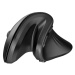 Myš Wireless Vertical Mouse Dareu LM109 Magic Hand Bluetooth + 2.4G (black)