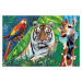 Trefl Puzzle 300 - Úžasné zvieratá / Discovery Animal Planet