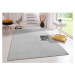 Svetlosivý koberec 200x280 cm Fancy – Hanse Home