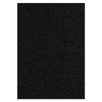 Kusový koberec Nasty 102055 Schwarz Rozmery koberca: 67x120