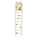 ZOLUX Rebrík pre vtáky drevený 9 priečok 37,5 cm