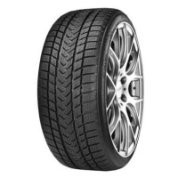 Gripmax Pro Winter 285/40 R22 110V