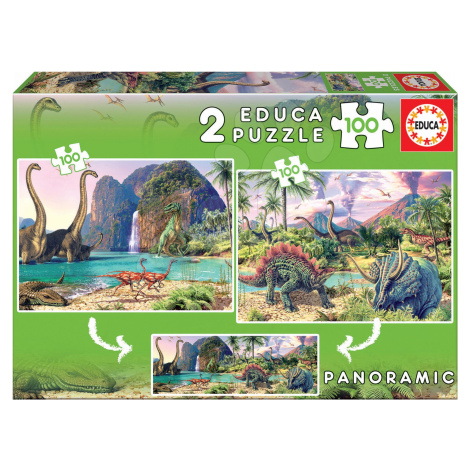 Puzzle pre deti Dino Educa 2x100 dielov 15620 farebné