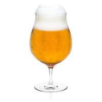 RONA Poháre na pivo Craft Beer 540 ml 6 ks