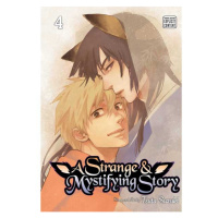 Viz Media A Strange and Mystifying Story 04